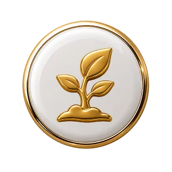 رشد
